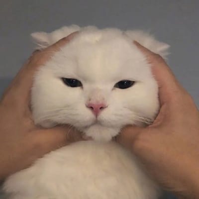 وحید خان avatar